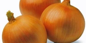Onion