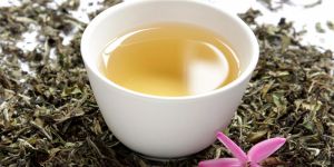 White Tea