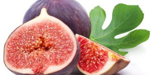 Common Fig