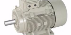 LUBI INDUCTION MOTOR