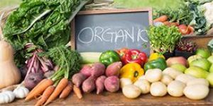 Organic Fruits and Vegetables