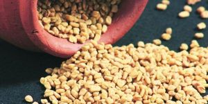 Fenugreek Seeds