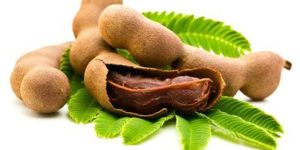 Tamarind