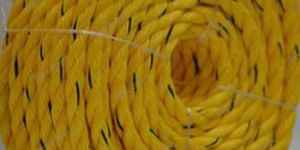 PP Danline Rope