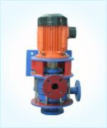 Vertical Glandless Pumps