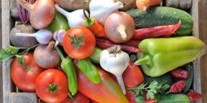 Fresh Organic Vegetables