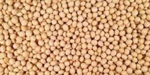 Soya Bean