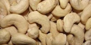 Cashew Nut