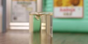 Sunflower Refined Oil