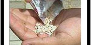 Naswar Packing Machine