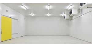 Cold Room