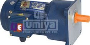 Gear Motor