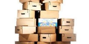 Offset Printed Boxes