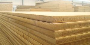 Commercial Plywood