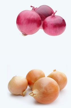 Onion