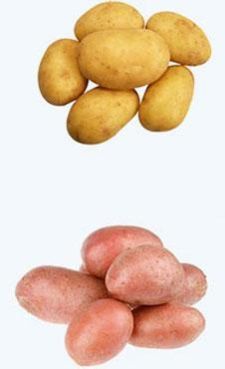Potato