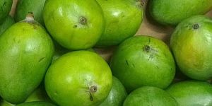 Raw Mango