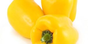 Yello Capsicum