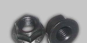 Flange Nuts