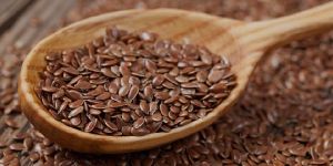 Organic Brown Flax Seeds
