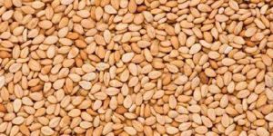 Organic Roasted Natural Sesame Seeds