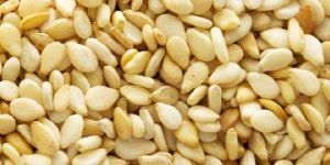 Organic Sesame Seeds