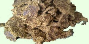 COTTON SEEDS MEAL CAKE