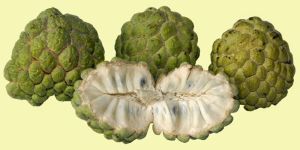 FROZEN CUSTERD APPLE PULP