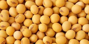 Soybeans