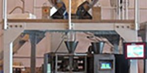 Multi Head Weigh Filler Collar Type Machine