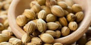 Coriander Seeds