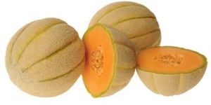 Musk Melon