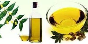 Organic Neem Oil