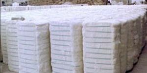 Cotton Fiber