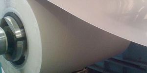 Stainless Steel Coil