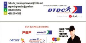 Domestic Courier Services