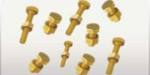 Brass Bolts