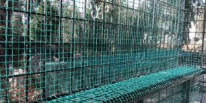 Safety Nets