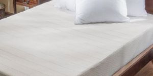 HOMES COIR MATTRESS