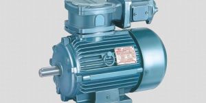 Flame Proof Motors