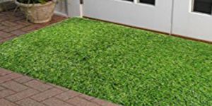 Artificial Grass