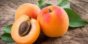Apricot