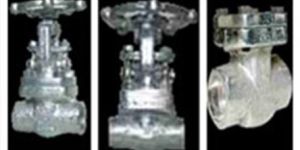 Check Valve