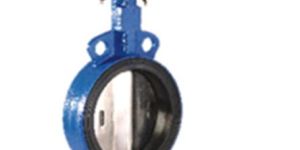 Lugged Butterfly Valve