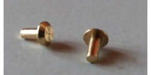 Brass Rivet