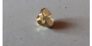 Screw