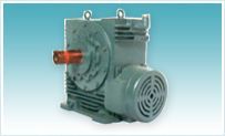 Worm Reduction Gear Box
