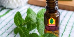 Peppermint Oils