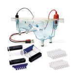 PAPER STRIP ELECTROPHORESIS APPARATUS