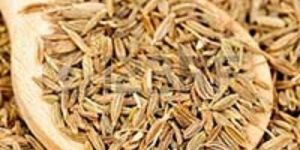 Cumin Seed